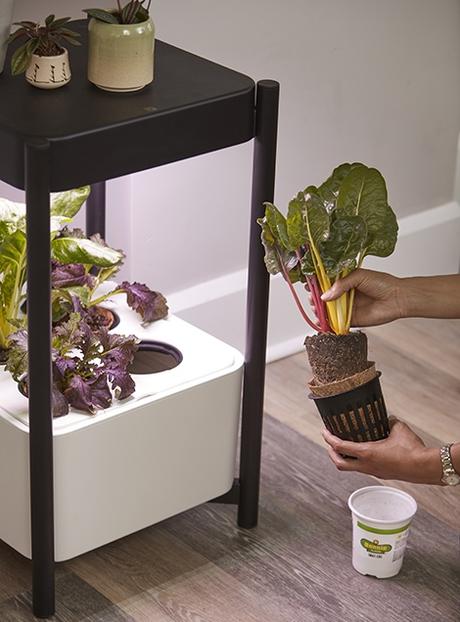 New Tech Innovations Inspire More Millennial Gardeners Than Ever