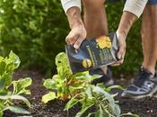 Tech Innovations Inspire More Millennial Gardeners Than Ever