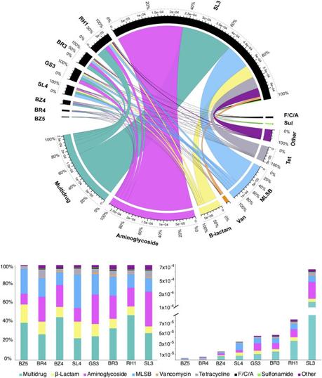 Distribution and abundance of ARGs in the eight High Arctic clusters classified by antibiotic class and cluster location. The Chord diagram presents the abundance of ARGs in each sample that associate with each respective antibiotic class among the eight soil clusters (top). Presented below the diagram is the relative abundance of ARGs normalized to the total abundance of 16S rRNA gene (bottom right) and relative proportions of ARG classes in each cluster (bottom left). MLSB denotes Macrolide-Lincosamide-Streptogramin B. Other labels represent ARGs that do not have a direct antibiotic class. F/C/A denotes florcholoram-phenicol antibiotic class.