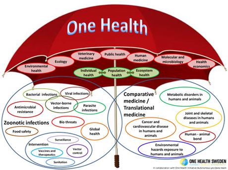 The Abyss Stares Back: Silos in One Health and the Emergent Need to Breach them