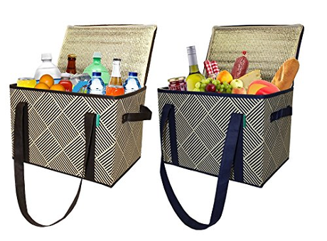 Get an Insulated Cooler Bag that Helps in Preserving Temperature of Food