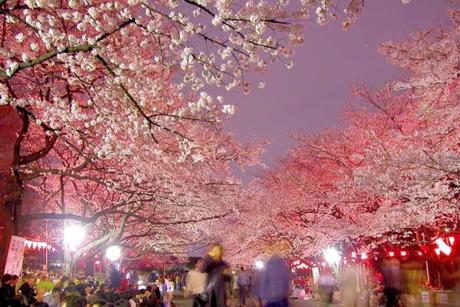 10 Interesting Japanese festivals