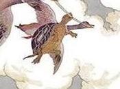 Turtles ((don’t Fly)) Does Chartered Flight