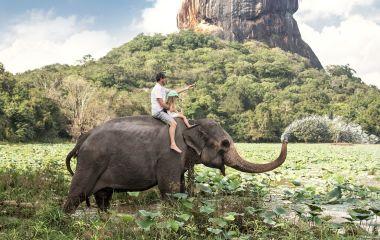 The perfect Sri Lankan elephant trip: animals and nature