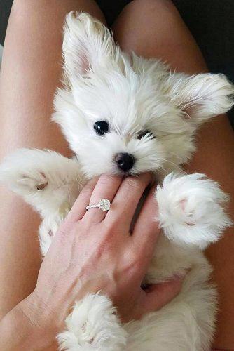 engagement ring selfie ring photo with cute puppy