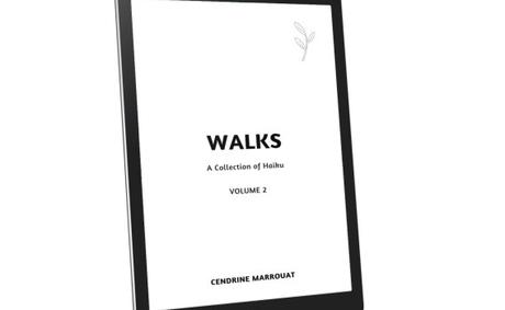 Announcement: ‘Walks: A Collection of Haiku (Volume 2)’ is out!