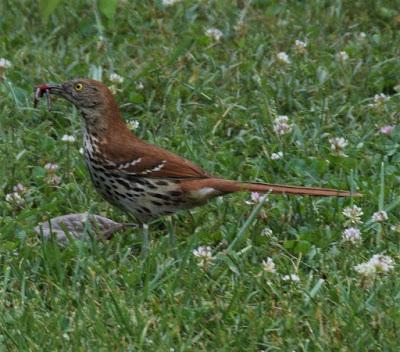 A Few More Pictures . . .