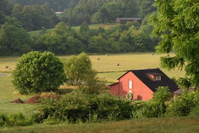 A Few More Pictures . . .