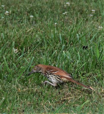 A Few More Pictures . . .