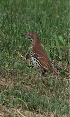 A Few More Pictures . . .