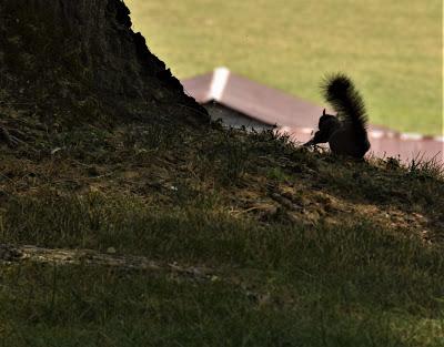 A Few More Pictures . . .