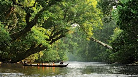 4 Exciting Nature Tour to Explore in Kuantan Region of Malaysia