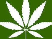 Illinois Becomes 11th State Legalize Marijuana