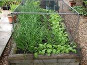 Summertime Crop Protection