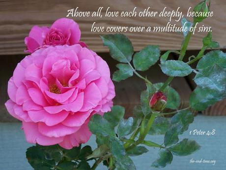 'Put on' love 'Put on' love