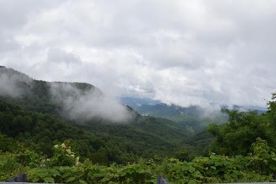 Misty Mountains Everywhere -- Coming Home