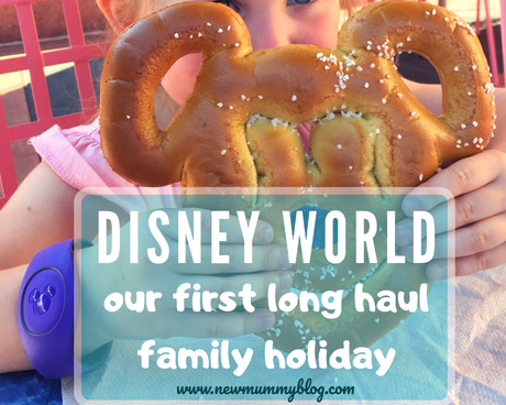 Disney World vacation – our first long haul family holiday