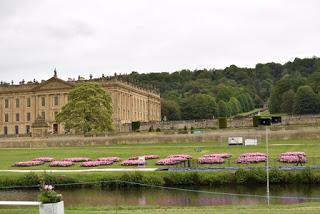 RHS Chatsworth Flower Show 2019 - plant buying heaven