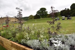 RHS Chatsworth Flower Show 2019 - plant buying heaven