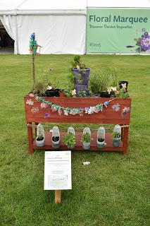 RHS Chatsworth Flower Show 2019 - plant buying heaven