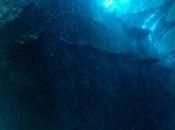 Movie Review: ‘Godzilla: King Monsters’ (Second Opinion)