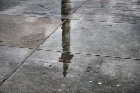 The Rain It Raineth…