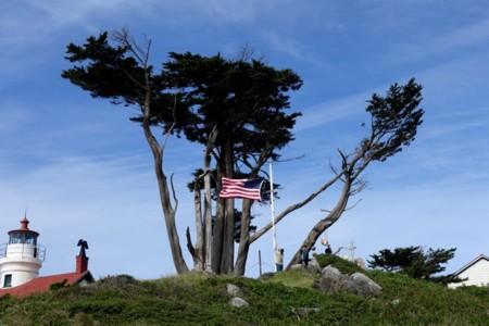 Journey to Northern California, Day 8 – 10: Redwood Forests