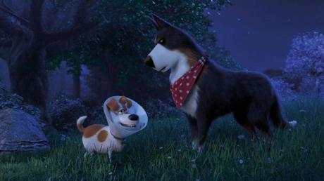 The Secret Life of Pets 2 – More Mini-Movie Than Movie The Secret Life of Pets 2 – More Mini-Movie Than Movie