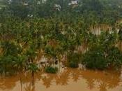 Would Denial Delay Settlement Insurance Claim, Filed Cheating