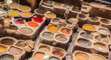 Fes is famous for its tanneries