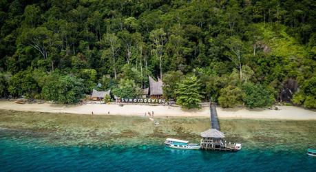 Rainforest in Sumatra, Indonesia - Enchanting Travels Top 10 UNESCO World Heritage sites of 2019