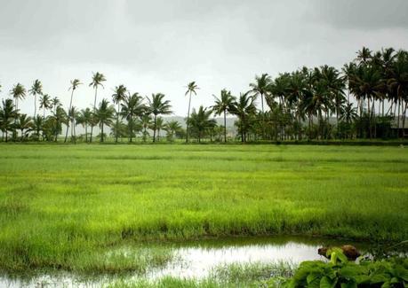 Experience Tripraja River Rafting during Monsoon in Goa