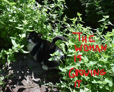 Cory is Worried about Her Connection