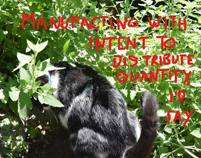 Cory is Worried about Her Connection