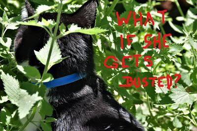 Cory is Worried about Her Connection