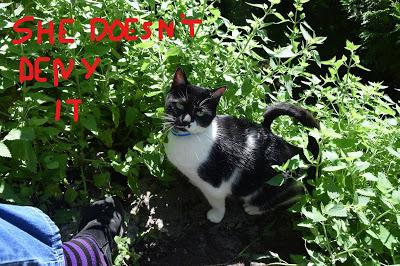 Cory is Worried about Her Connection