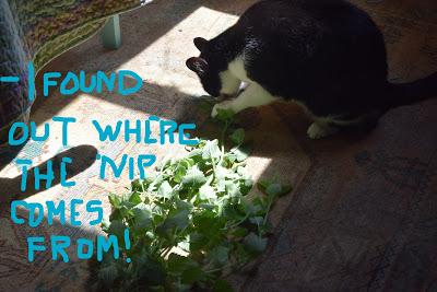 Cory is Worried about Her Connection