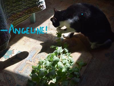 Cory is Worried about Her Connection