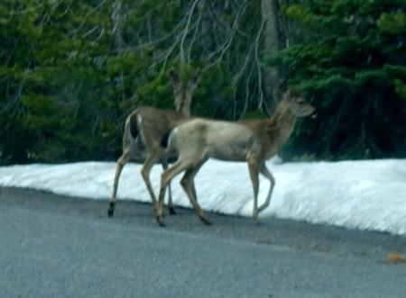 Journey to Northern California, Day 12: Excursion to Crater Lake