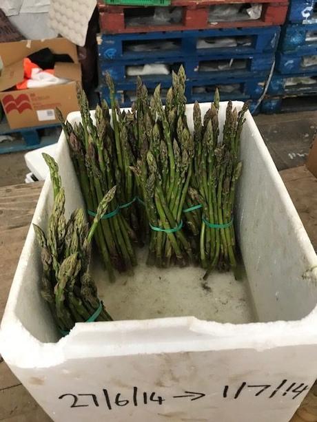 Asparagus Hut time
