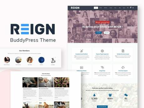 BuddyPress Theme, Ning Alternatives