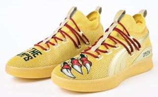 Toronto Raptors Danny Green Sports Custom PUMA Sneakers After NBA Finals
