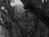 POEM: Unfortunate Resting Place