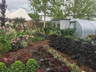 Gardeners World Live 2019 - a pause in the rain