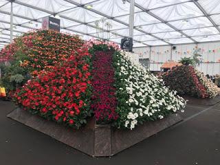 Gardeners World Live 2019 - a pause in the rain
