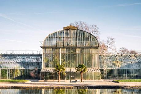 How to Pick the Perfect Greenhouse