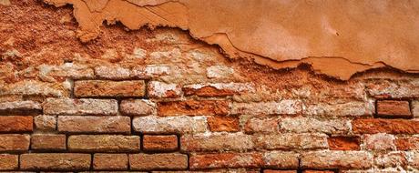 efflorescence-in-wall-bricks