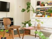 Prevent Scratches Hardwood Floors With These Methods