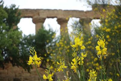 SPRINGTIME IN SICILY, Part 3: Catania, Piazza Armerina, Agrigento and Mount Etna