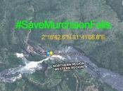 “There Murchison Falls National Park Without Falls” #SaveMurchisonFalls
